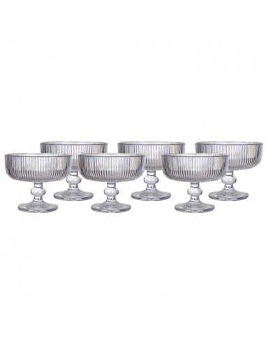 SET X6 COPA RAYAS TORNASOL