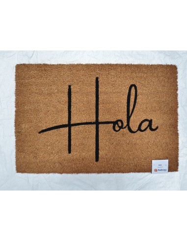 FELPUDO HOLA